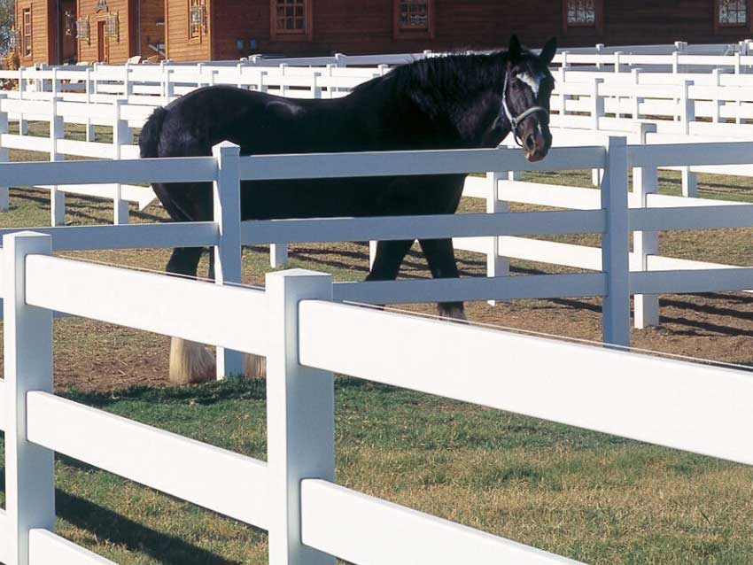 Vinyl Horse Fence